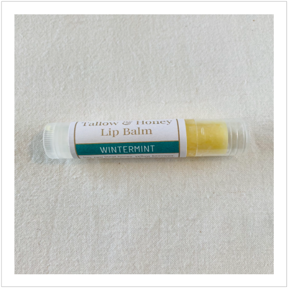 Tallow & Honey Lip Balms
